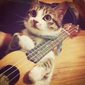 做爱试看揉奶视频
